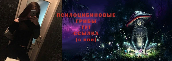 тгк Пересвет