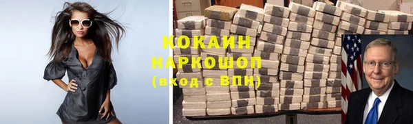 тгк Пересвет