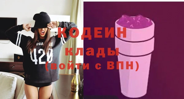 тгк Пересвет