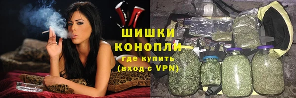тгк Пересвет